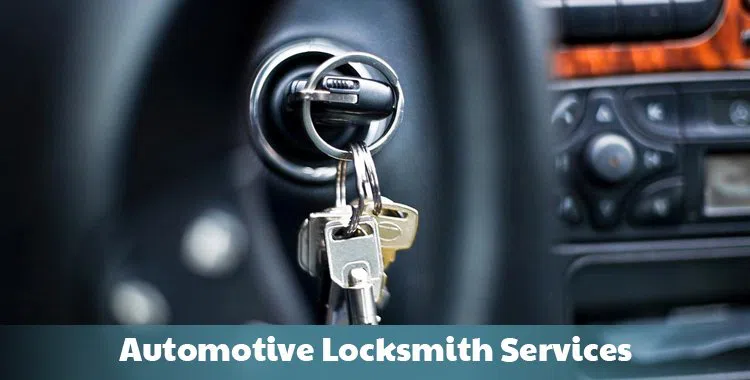 #bslide2 logo-image - banner-2